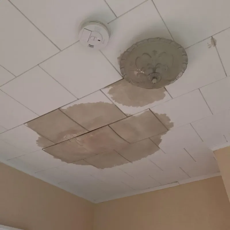 Ceiling Water Damage Repair in Ransom County, ND