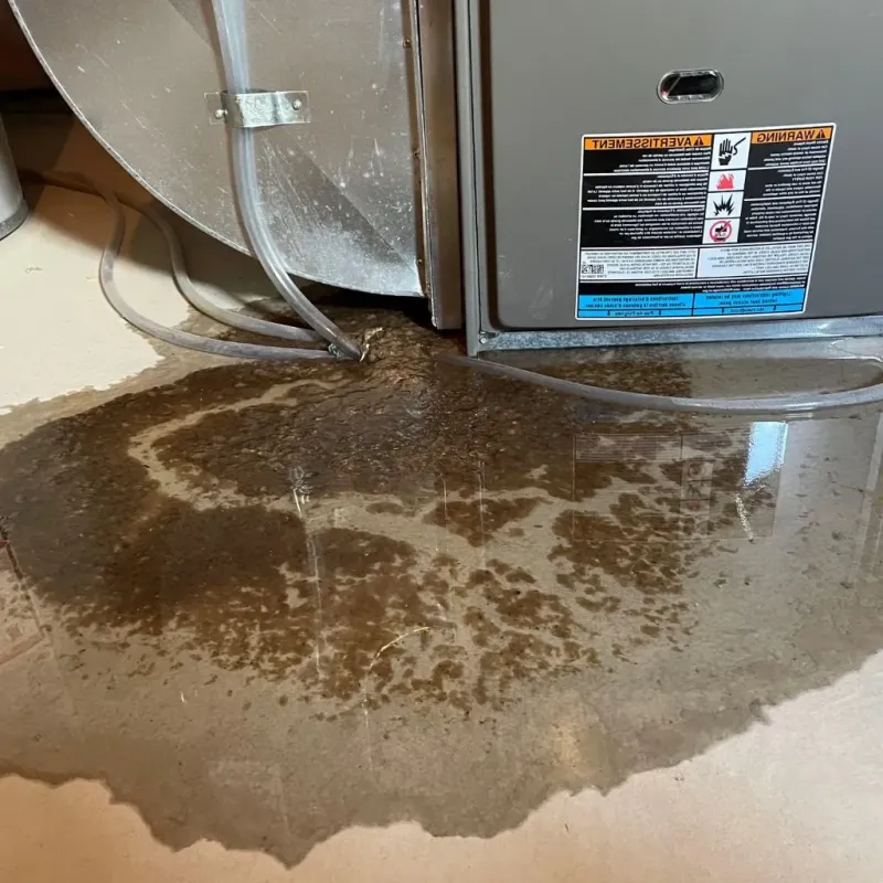 Pipe Burst and Leak Restoration in Ransom County, ND