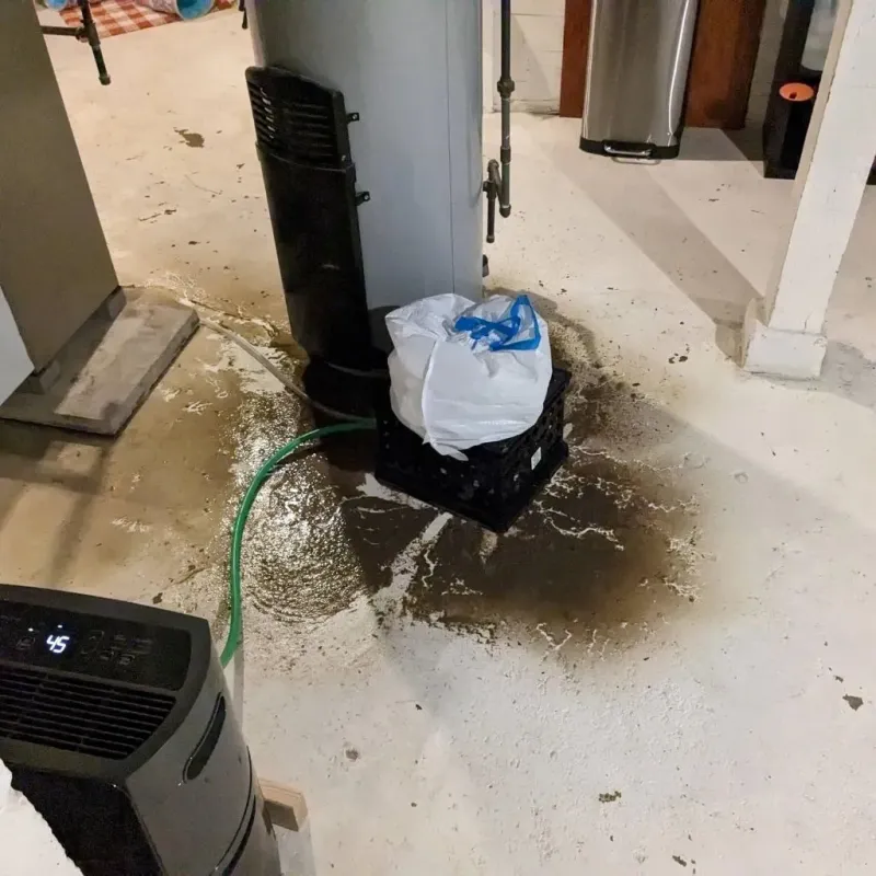 Sewage Backup Cleanup Service in Ransom County, ND